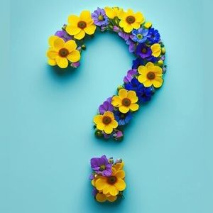 $3 Live Show Items💛